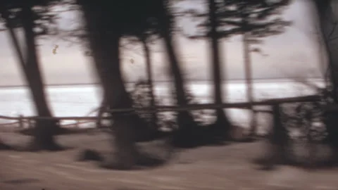 Driving Past Silhouetted Trees Viewing Snowy Frozen Water Canada 1970s Stock Footage 306781764