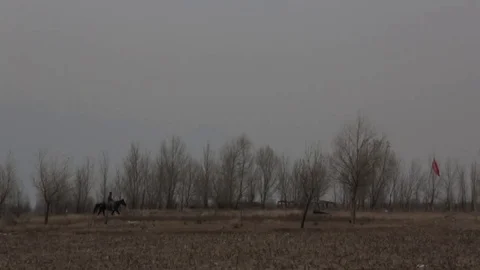 Driving past tree line at dusk Stock Footage 75212968