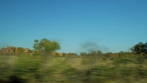 Driving past trees and bushed with red rocks Video stock 100348959