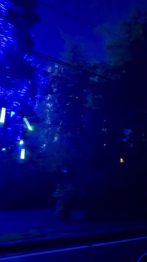 Driving Past Vibrant Blue Holiday Tree Lights on a Rainy Night 库存影片 340263857