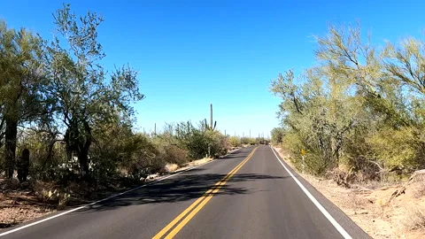 Driving Paved Road Through Desert Cactus Landscape Vídeo Stock 148403351