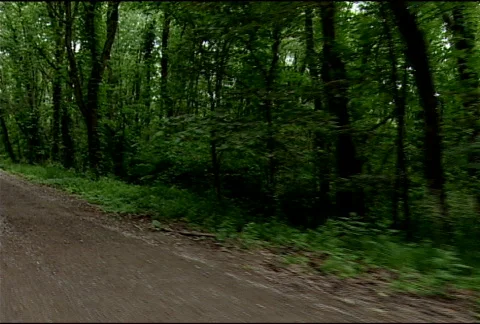 Driving Plate 059 Stock Footage 487451