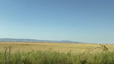 Driving plate of agricultural fields and Kyrenia mountain. Road trip in Cyprus. Stock Footage 336002740