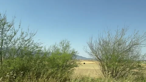 Driving plate of agricultural fields and Kyrenia mountain. Road trip in Cyprus. Stock Footage 336002910