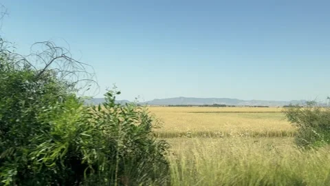 Driving plate of agricultural fields and Kyrenia mountain. Road trip in Cyprus. Stock Footage 336002925