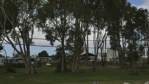 Driving plate-Drivers side window industrial sugar factory Georgetown Barbados Stock Footage 73519514