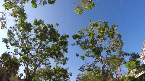 Driving plate Stock Footage 69165326