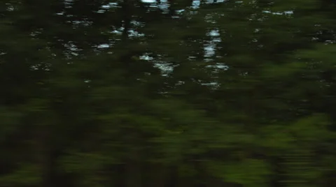 Driving plate: Mid West US rural road, left side 1 4K Stock Footage 45457356