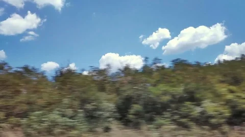Driving Plate Side View. Cumulus clouds and trees in a cloudy summer day. Stock Footage 114355363