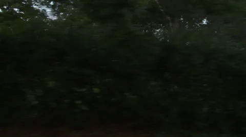 Driving plate, side view, day: upper middle class neighborhood C Stock Footage 40688177