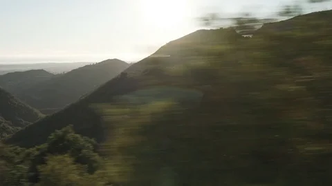 Driving plate side view of forest on mountain road in California from moving car Stock Footage 83851577