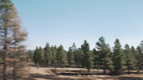 Driving plate side view moving through forest and hills in daytime Stock Footage 82981970