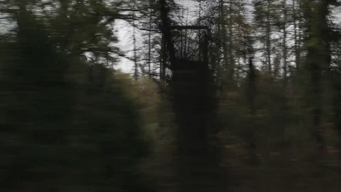 Driving plate side view moving through forest and hills in daytime Stock Footage 83246425