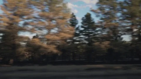 Driving plate side view moving through hills, fields and forest in sunset time Stock Footage 83844486