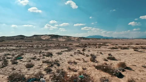 Driving plate side view moving through desert in car empty road Video stock 229892960