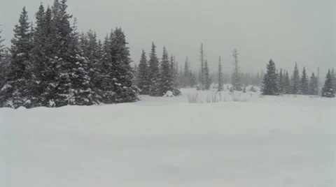Driving Plate Side View - Winter Forest Alaska in Snowstorm Stock Footage 21431618