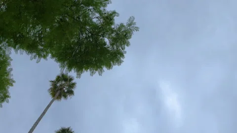 Driving Plate Top View Looking Up Stock-Footage 147362334