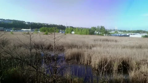 Driving Plate: Train Window view; Amtak enters Hudson Tunnels in Meadowland Stock-Footage 130966223