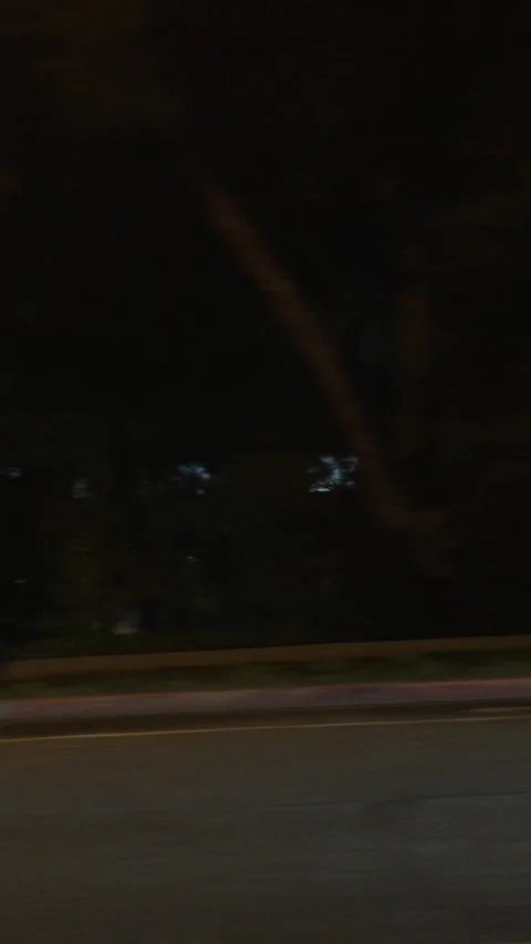 Driving plate tree lined industrial area at night vertical video Stock Footage 300132585