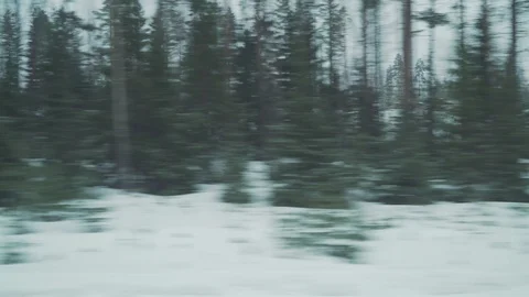 Driving plate from window of a trane of winter forest Stock Footage 87901511