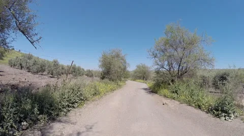 Driving plates along olive orchards along Jordan Of The Mountains trail 스톡 동영상 38314264