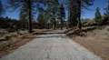 Driving Plates Forest CAM1 Front 02 Pine Forest California HD Footage