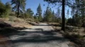 Driving Plates Forest CAM1 Front 06 Pine Forest California HD Footage