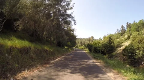 Driving plates in the forest with pines and cedars Видео 37862302