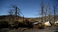 Driving Plates Mountains Canyon CAM4 R 01 Forest California HD Footage