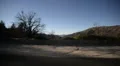 Driving Plates Mountains Canyon CAM4 R 02 Forest California HD Footage