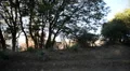 Driving Plates Mountains Canyon CAM4 R 05 Forest California HD Footage
