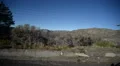 Driving Plates Mountains Canyon CAM4 R 06 Forest California HD Footage