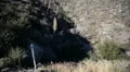 Driving Plates Mountains Canyon CAM4 R 07 Forest California HD Footage