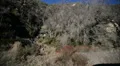 Driving Plates Mountains Canyon CAM4 R 12 Forest California HD Footage