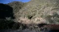 Driving Plates Mountains Canyon CAM4 R 14 Forest California HD Footage