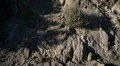 Driving Plates Mountains Canyon CAM4 R 16 Forest California HD Footage
