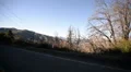 Driving Plates Mountains Canyon CAM5 3QL 04 Forest California HD Footage