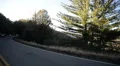 Driving Plates Mountains Canyon CAM5 3QL 06 Forest California HD Footage