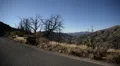 Driving Plates Mountains Canyon CAM5 3QL 07 Forest California HD Footage