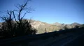 Driving Plates Mountains Canyon CAM6 3QR 03 Forest California HD Footage