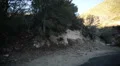 Driving Plates Mountains Canyon CAM6 3QR 08 Forest California HD Footage