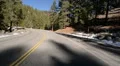 Driving Plates Mountains Snow CAM1 Front 05 Forest California HD Footage