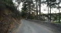 Driving Plates Multi Angle Forest Set#01 CAM2 Rear 60fps HD Footage