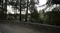 Driving Plates Multi Angle Forest Set#01 CAM3 Left 60fps HD Footage