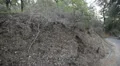 Driving Plates Multi Angle Forest Set#01 CAM4 Right 60fps HD Footage