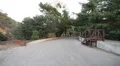 Driving Plates Multi Angle Forest Set#02 CAM2 Rear 60fps HD Footage