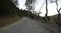 Driving Plates Multi Angle Forest Set#03 CAM1 Front 60fps HD Footage