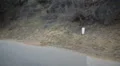 Driving Plates Multi Angle Forest Set#03 CAM3 Left 60fps HD Footage