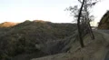 Driving Plates Multi Angle Forest Set#03 CAM4 Right 60fps HD Footage