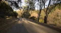 Driving Plates Multi Angle Forest Set#04 CAM2 Rear 60fps HD Footage